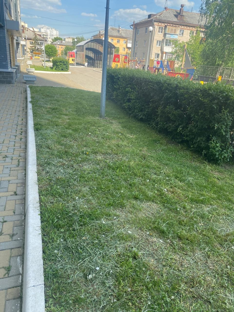 1 (332).jpg